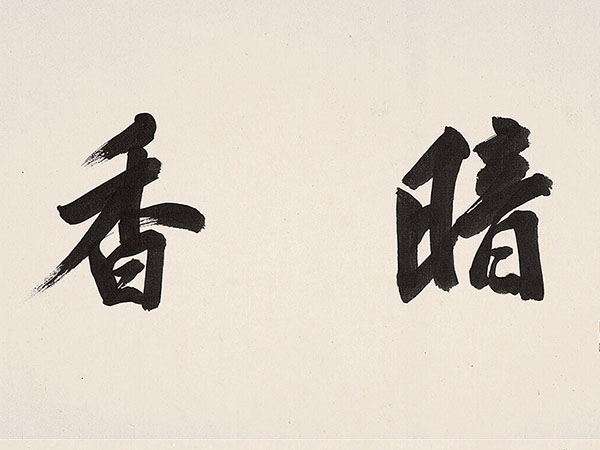 匾额欣赏：顾鹤庆自题《暗香疏影》画册前页“暗香疏影”