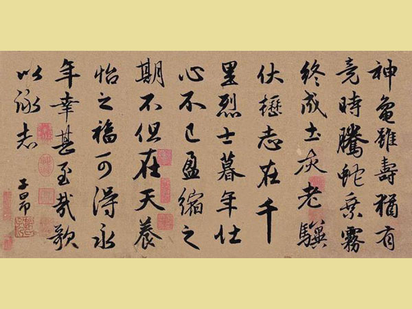 赵孟頫集字《龟虽寿》欣赏